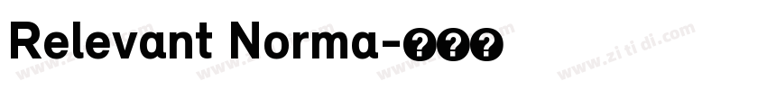 Relevant Norma字体转换